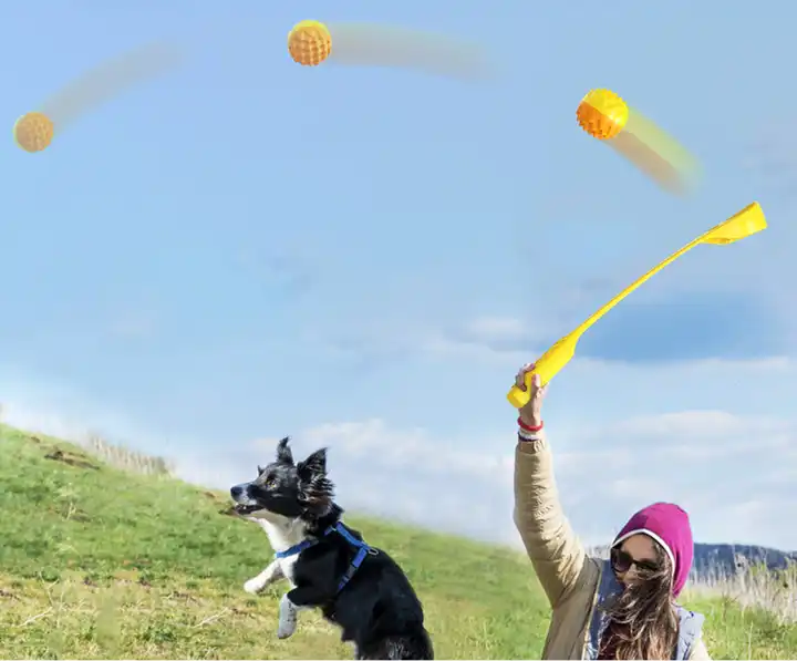Ballwerfer für Hunde – Hundespielzeug